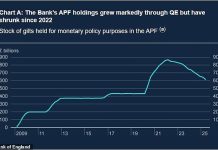 Bank of England under pressure to slow £586bn QT push to ease long-term gilt yields