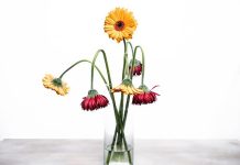 My sister made so little effort for my birthday present – is it petty to be upset? Money psychotherapist VICKY REYNAL says there’s much more to it than just forgetfulness