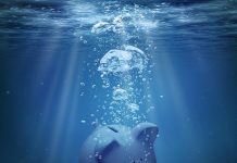 Big banks start to offer easy-access savings rates BELOW 1% once more