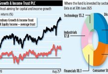 FINSBURY GROWTH & INCOME TRUST PLC: AI is the key to getting out of doldrums