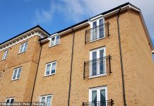 What does it really mean to buy a share of freehold flat?