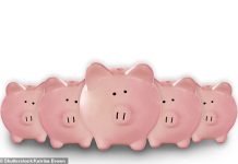 Best cash Isa rates 2025: Our pick of the five top deals