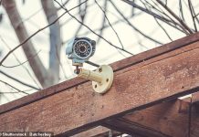 As demand for home CCTV soars: experts offer their SIX top tips for fitting a spy camera on a budget