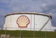 Shell scraps giant biofuel plant in Rotterdam as it continues its retreat from green energy