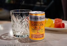 Fever-Tree’s US push pays off as sales in the UK lose their fizz