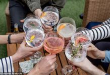 Fever-Tree’s US push pays off as sales in the UK lose their fizz