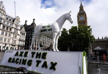 Newbury Racecourse posts another loss as Labour readies racing tax raid