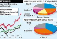 FIDELITY SPECIAL VALUES: Playing the waiting game nets big returns from undervalued stocks