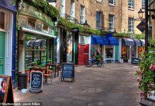 Britain’s top town centres REVEALED: Is your local high street thriving?