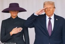 Powell’s peace offering will not satisfy Trump or his acolytes, says ALEX BRUMMER