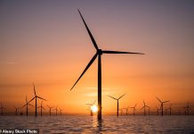 Orsted gets green light to complete U.S. windfarm as judge overrules Trump block
