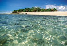 Saga returns to profit thanks to cruise demand but financing costs weigh