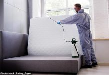 We have a bedbug infestation in our rental property – what are our rights?