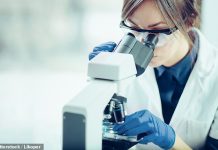 How to profit from backing Britain: These growing UK businesses will put patriotic pride in your investment portfolio