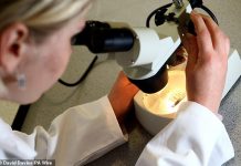 Life sciences under the cosh: Labour must do more to keep crucial firms in Britain, says ALEX BRUMMER