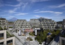 Toyota builds mini city of the future where 2,000 employees will move in to test EVs, robot pets and self-flying taxis