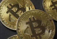 Bitcoin to be key asset for central banks within five years