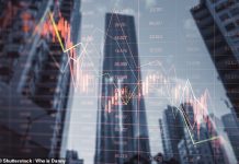 Watch out for black swans: The trigger for financial crashes rarely is predicted by watchdogs, says ALEX BRUMMER