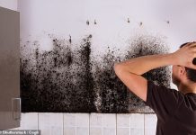 Almost all insulation fitted under government ECO scheme could cause mould and damp