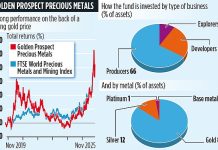 GOLDEN PROSPECT PRECIOUS METALS: Investors may truly be sitting on a gold mine