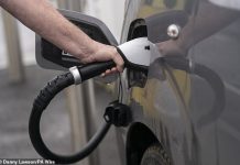 One in 25 used cars bought this summer were electric as second-hand EV market grows