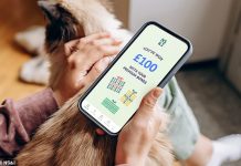 Is the £50,000 Premium Bonds limit due an uplift thanks to inflation? Five experts give their verdict