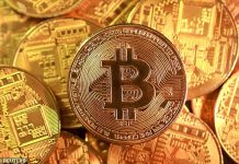 Inside the Bitcoin apocalypse: Prices are crashing after fears of a mega-bubble. Now crypto experts give the REAL view on if you should buy or sell – and give their ‘bloody hand’ warning