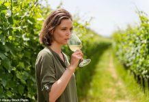 Chapel Down calls for Chancellor to put sparkle into wine industry