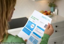 Green levies on energy bills scrapped in the Budget but Rachel Reeves opts against cutting VAT