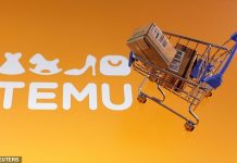 Truth about Temu: The ‘bargains’ that are CHEAPER elsewhere, how to find them, when is really best to buy and how to sort the treasures from the tat revealed by experts