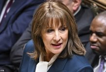 Budget hit to private investment won’t help Britain’s ambition to become a tech powerhouse, says ALEX BRUMMER