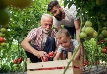 Save our family firms: Reeves warned inheritance tax raid has ‘demoralised’ business owners and hammered investment