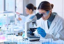 US lifeline for UK pharma – Let’s just hope Labour hasn’t done too much damage, says ALEX BRUMMER